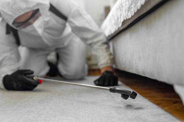 Professional Termite Control technician working in Madison, MS