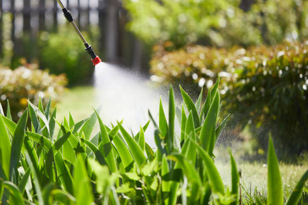 24/7 Emergency Termite Control experts in Madison, MS