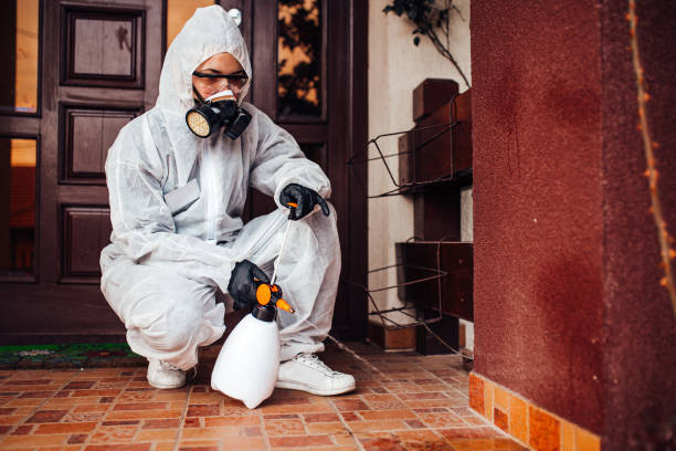 Reliable Termite Control contractor in Madison, MS by Nex Pest Control